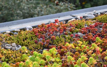 the cost of Rydon green roof installation