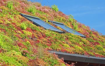 Rydon living roof systems