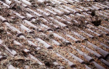 Rydon roof cleaning companies